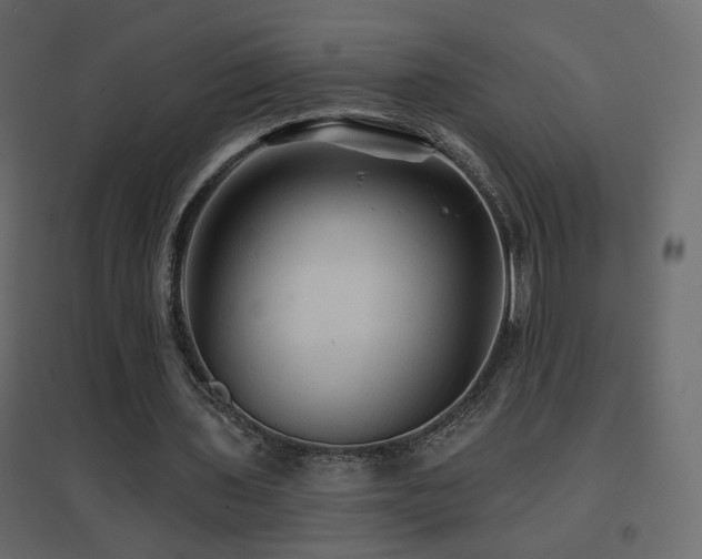 X0000096660435200802051222