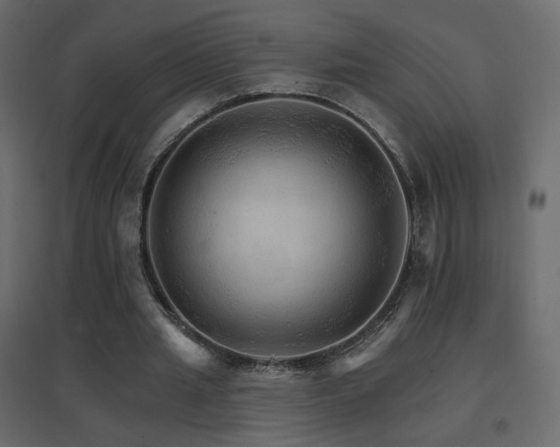 X0000096660437200802051222