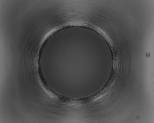 X0000096660438200802051222