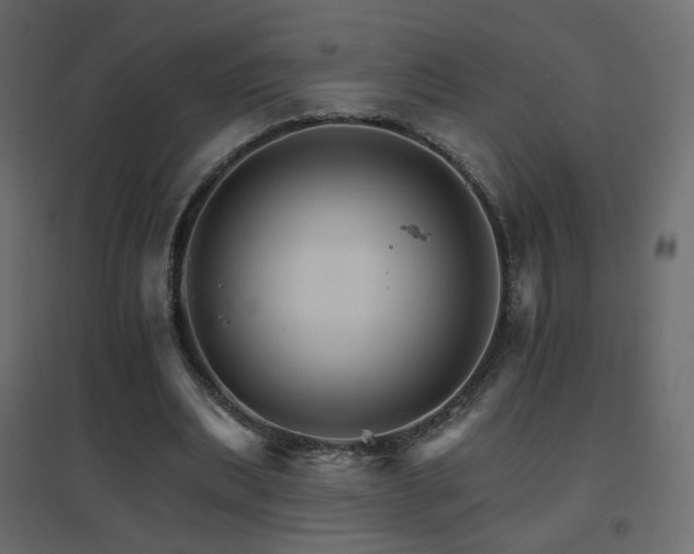 X0000096660439200802051222