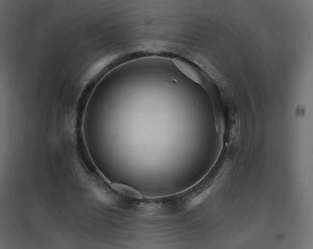 X0000096660440200802051222