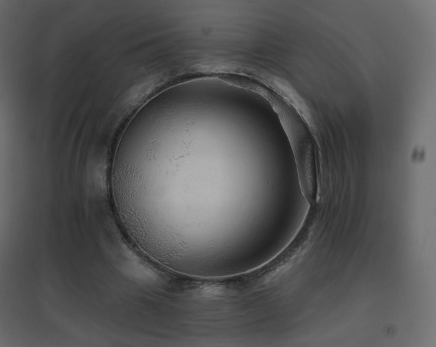 X0000096660441200802051222