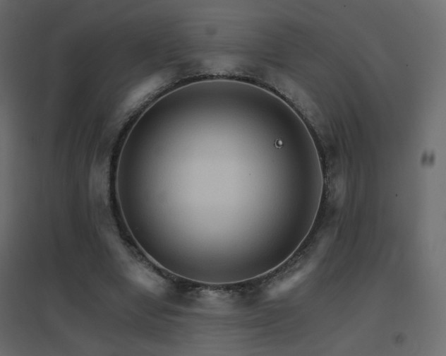 X0000096660442200802051222