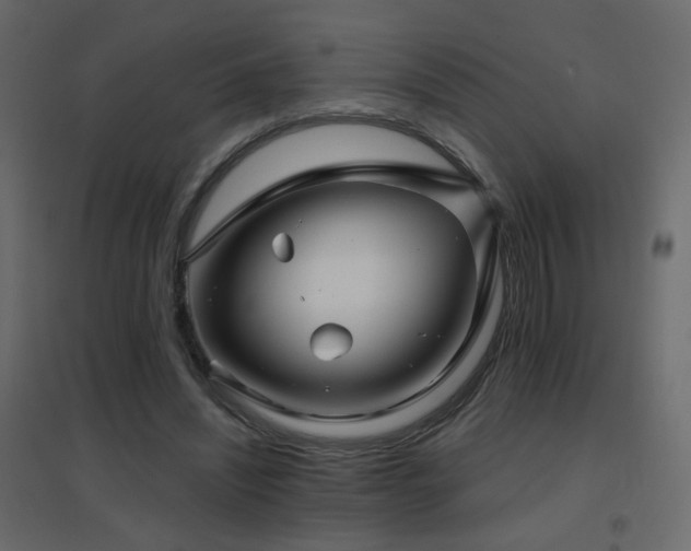 X0000096660444200802051222