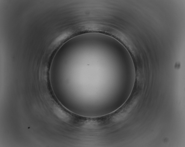 X0000096660445200802051222