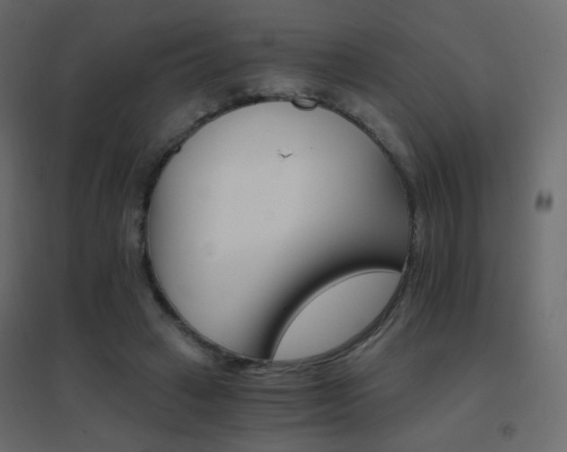 X0000096660449200802051223