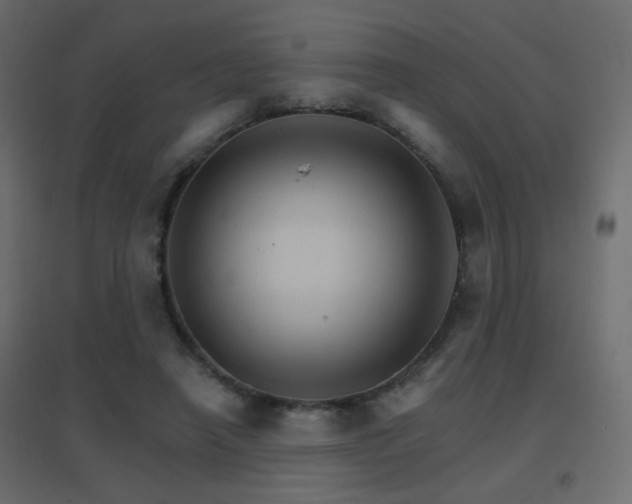 X0000096660450200802051223