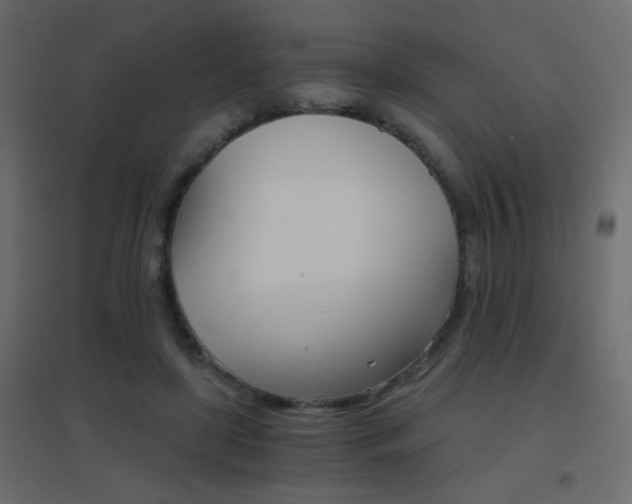 X0000096660451200802051223