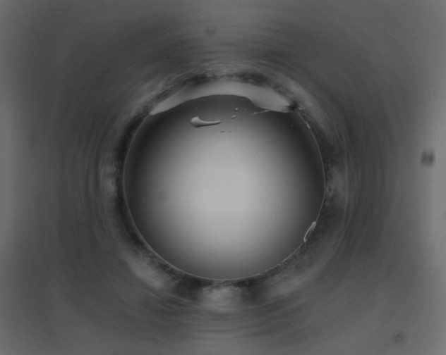 X0000096660452200802051223