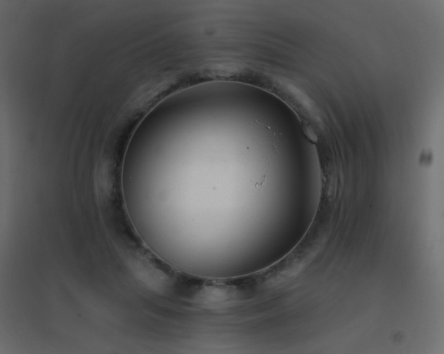 X0000096660455200802051223
