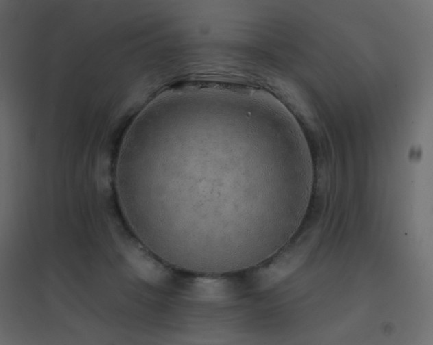 X0000096660457200802051223