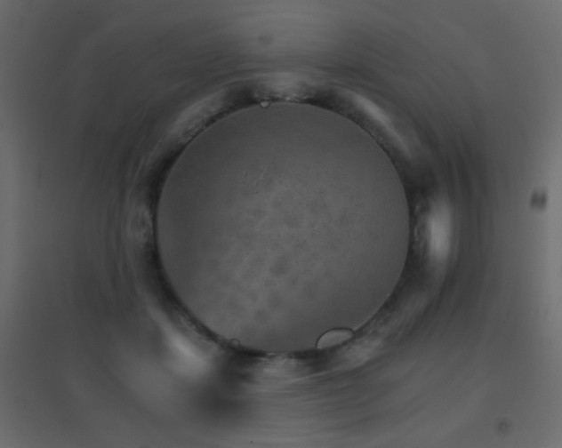 X0000096660459200802051223