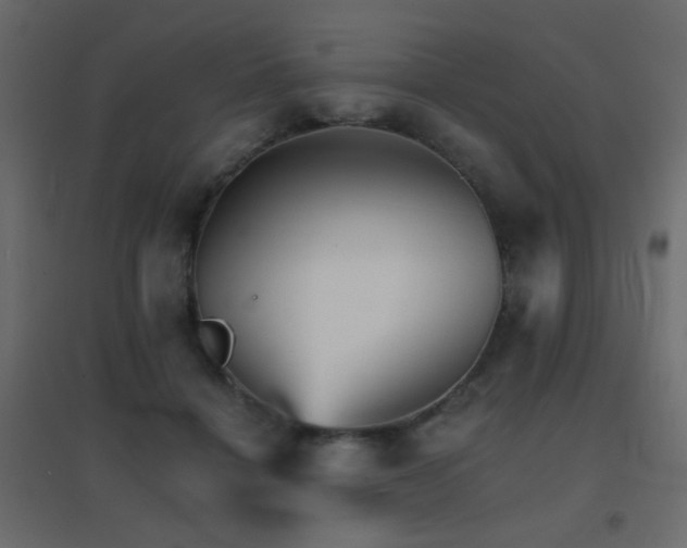 X0000096660460200802051223