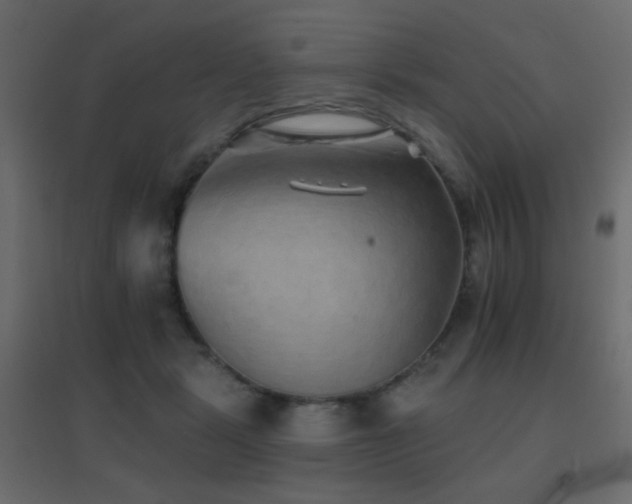 X0000096660461200802051223