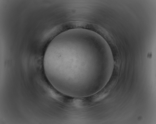 X0000096660462200802051223