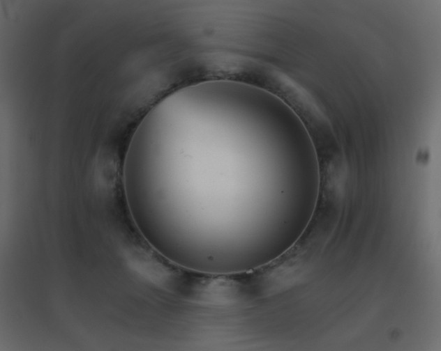 X0000096660463200802051223