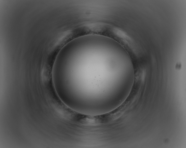 X0000096660464200802051223