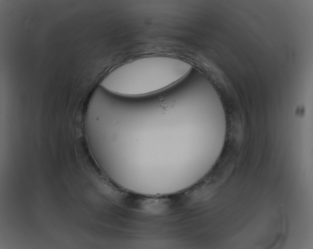 X0000096660465200802051223