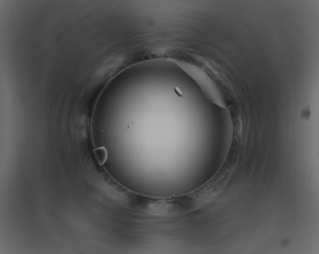 X0000096660470200802051223