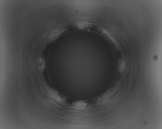 X0000096660471200802051223
