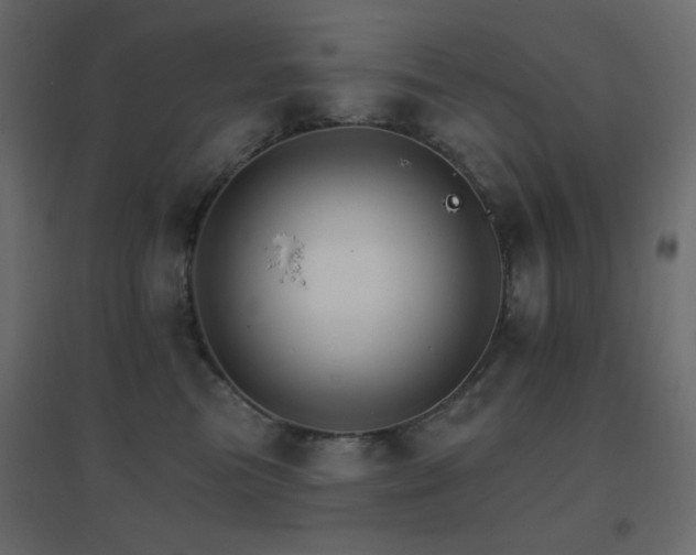 X0000096660473200802051223