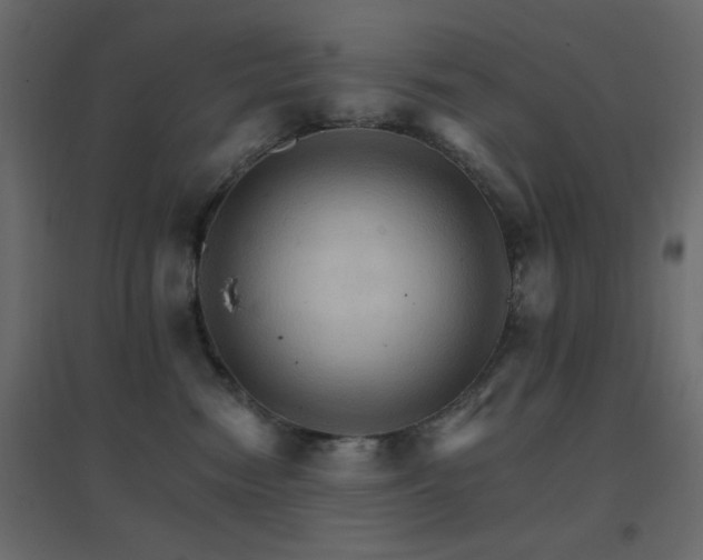 X0000096660474200802051223