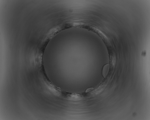 X0000096660475200802051223