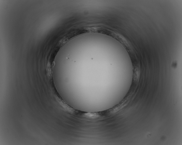 X0000096660477200802051223