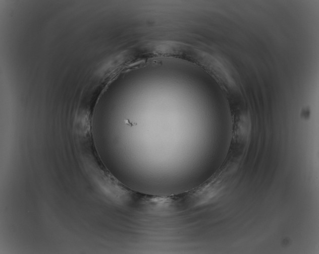 X0000096660478200802051223