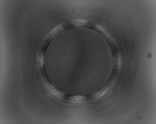 X0000096660479200802051223
