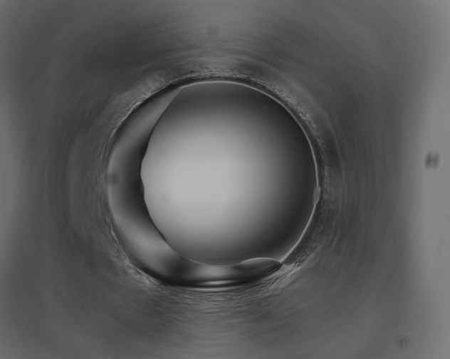 X0000096660481200802051222