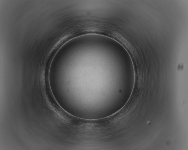 X0000096660482200802051222