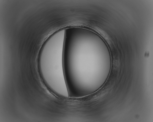 X0000096660485200802051222