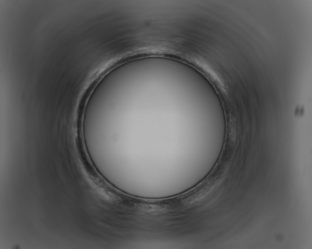 X0000096660486200802051222