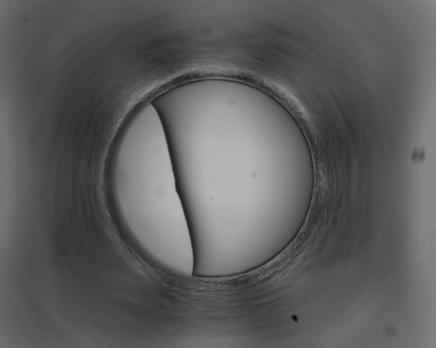 X0000096660487200802051222