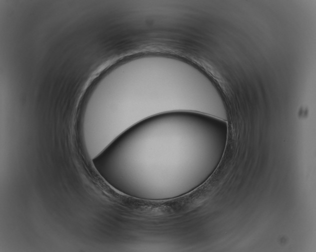 X0000096660488200802051222