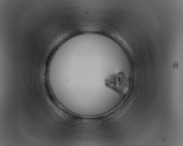 X0000096660490200802051222