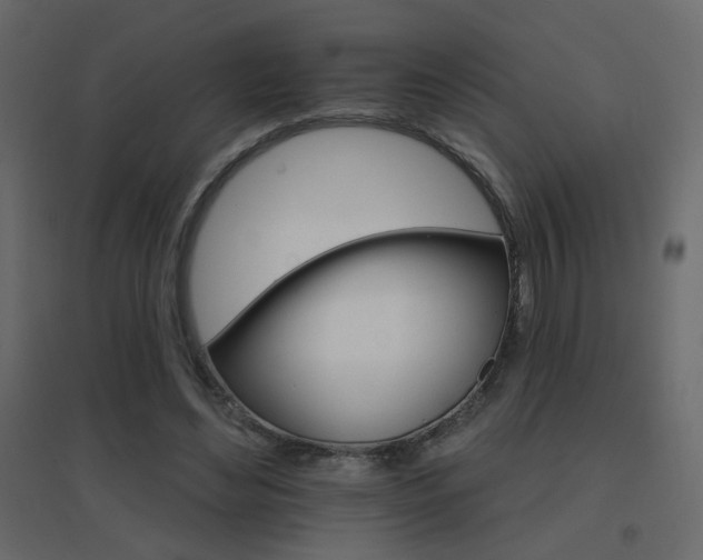 X0000096660492200802051222