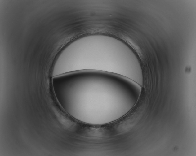 X0000096660493200802051222