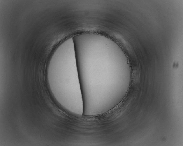 X0000096660495200802051222