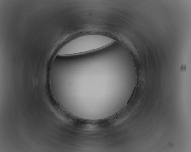 X0000096660496200802051222