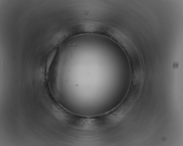 X0000096660497200802051222
