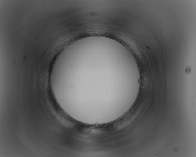 X0000096660498200802051222