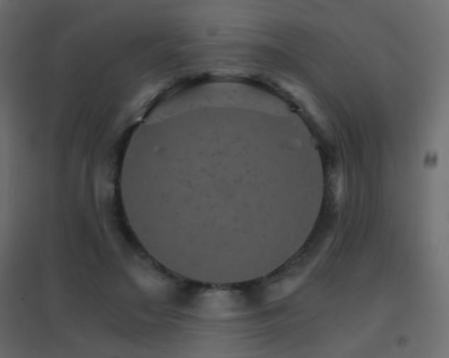 X0000096660499200802051222