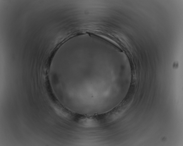 X0000096660503200802051222