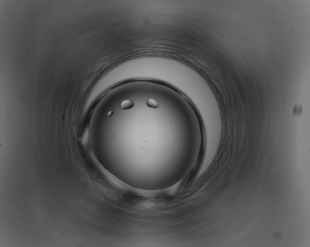 X0000096660504200802051222