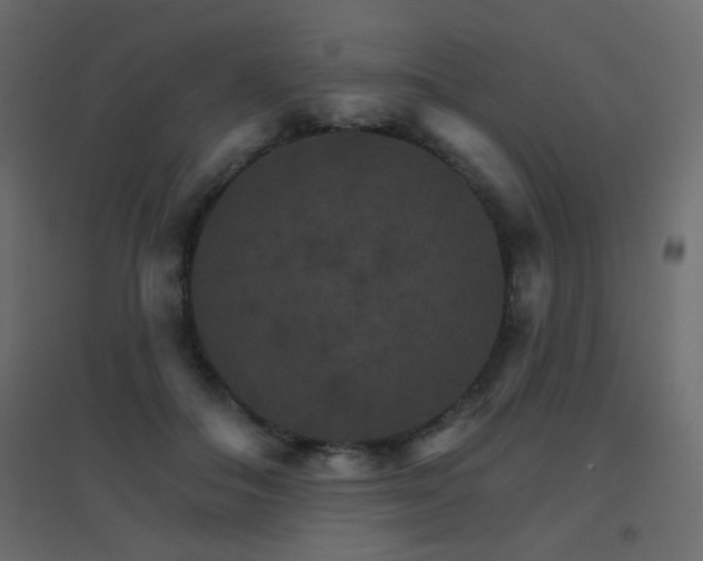 X0000096660506200802051222