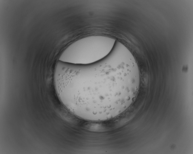 X0000096660507200802051222