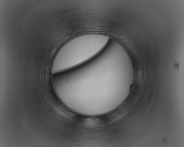 X0000096660508200802051222