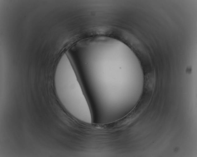X0000096660509200802051222